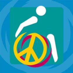 Wheelchair Sport Wheelchair Sport
